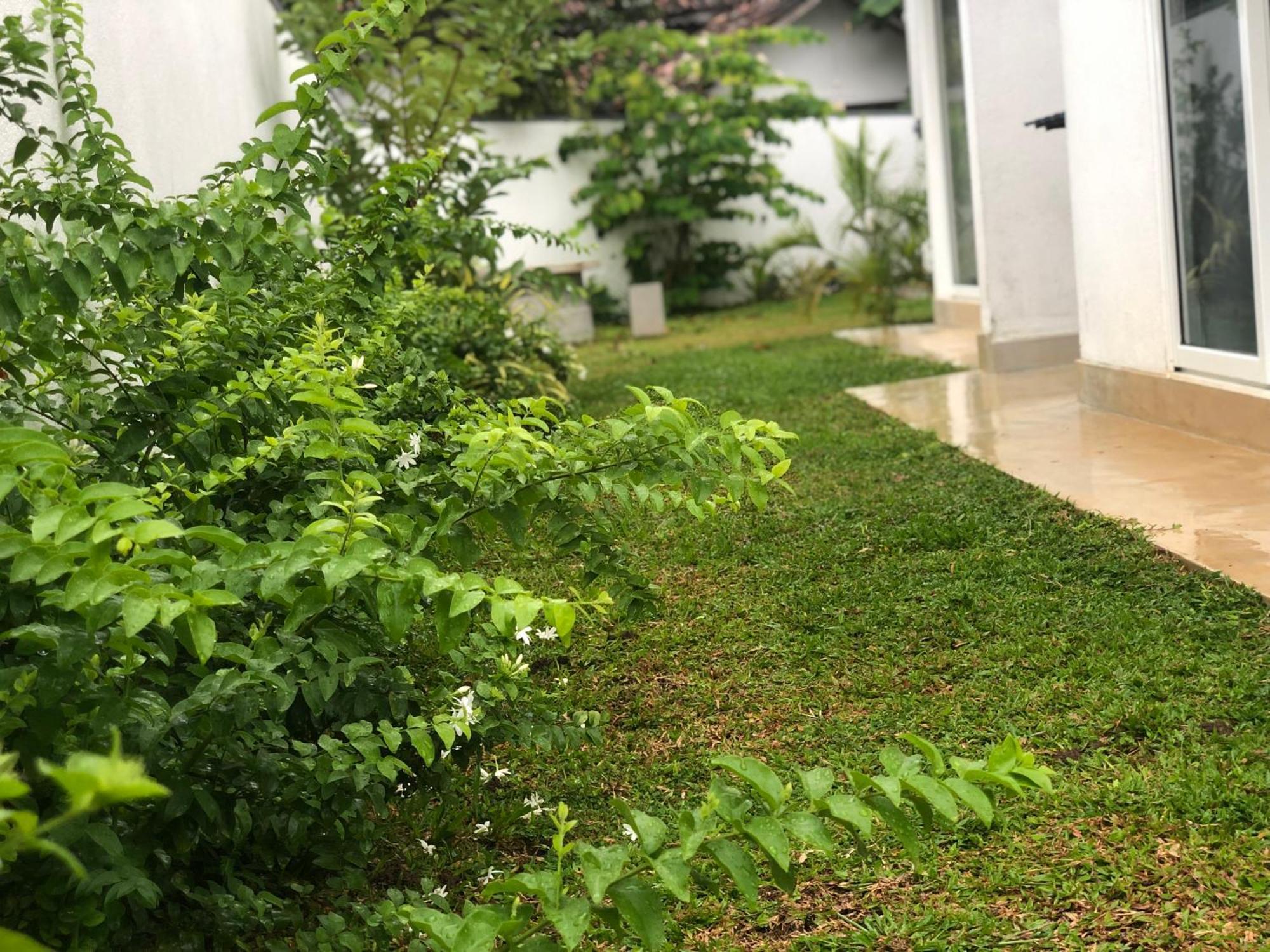 Luvi'S Villa Galle Exterior foto
